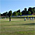 cricket1